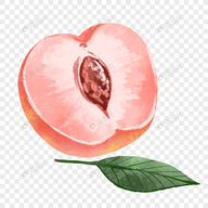 WWW,190se·COM网站APPAPP应用